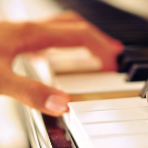 日韩在线成人网
