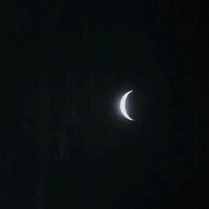 日韩在线成人网
