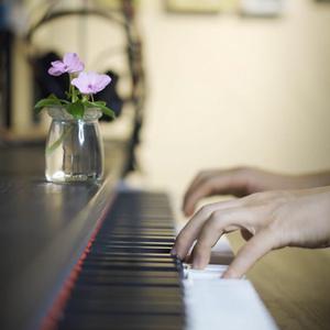 日韩在线成人网
