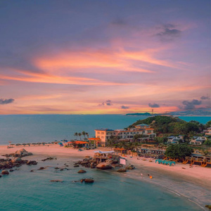 日韩在线成人网
